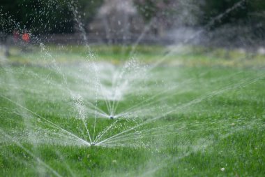 Çimlere su serpmek