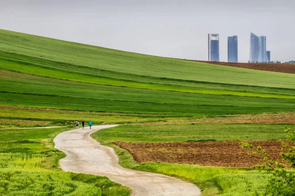Madrid, İspanya; 11 Nisan 2021: Tarlalar arasında yürüyen insanlar.