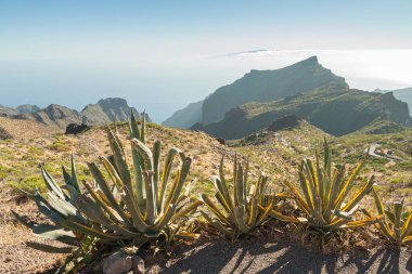 Tenerife, İspanya; 28 Temmuz 2015: Tenerife dağlarının doğa manzarası.