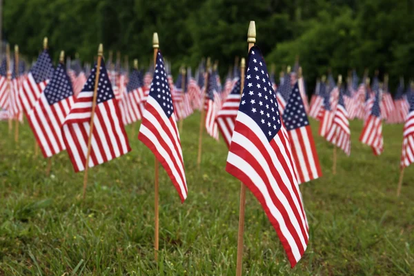 A lot of american flags — Stock Photo, Image