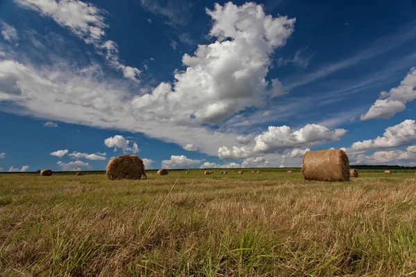 수확 1 후 짚으로 bales — 스톡 사진