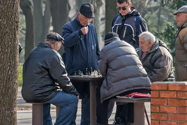 Velhos jogadores de xadrez no parque 2 — Fotografia de Stock