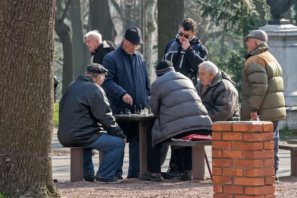 Velhos jogadores de xadrez no parque 3 — Fotografia de Stock