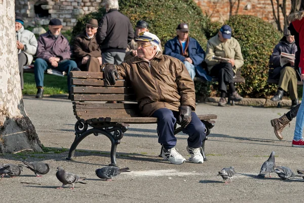 Reformados no parque olhando pombos 2 — Fotografia de Stock