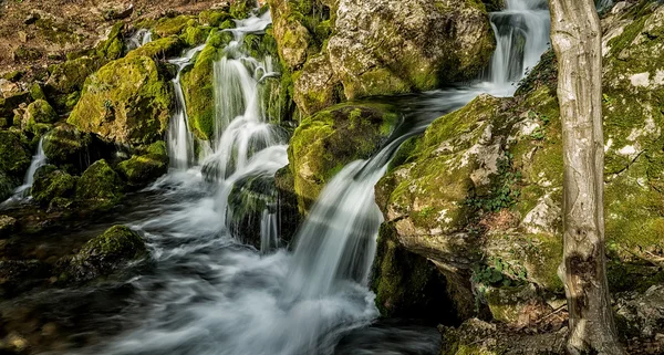 Source of the river that makes waterfalls over rocks covered wit — Stock Photo, Image