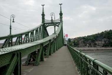 Budapeşte Macaristan 05 Özgürlük Köprüsü