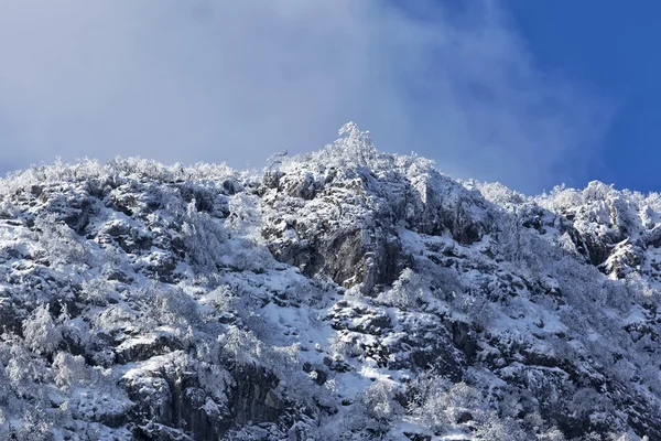 Montagne Rtanj en hiver 15 — Photo