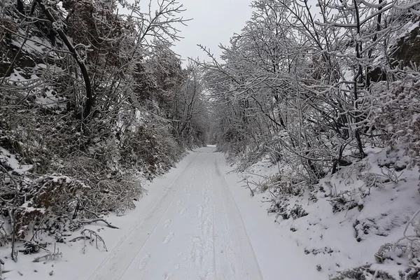 Invierno — Foto de Stock