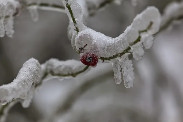 Inverno 18 — Foto Stock