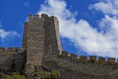 Sırbistan'daki Tuna Nehri üzerindeki