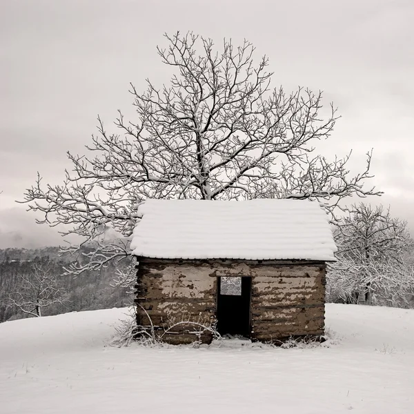 Sheparders dağ evi 2 — Stok fotoğraf