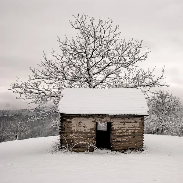 Sheparders chalet 2 — Stock Photo, Image