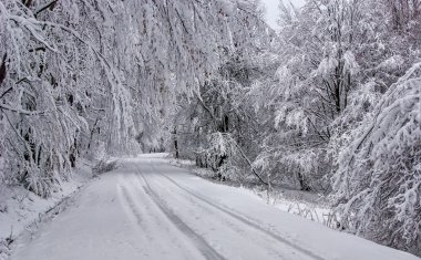 Witer dağ manzarası 6
