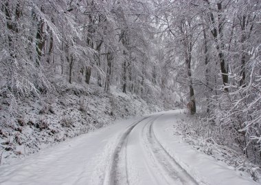 Witer dağ manzarası 12