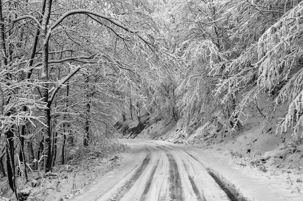 Carretera en Witer paisaje de montaña 3 — Foto de Stock