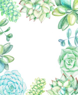 Sulu meyveler ve bitkiler ile arka plan