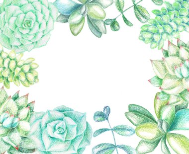 Sulu meyveler ve bitkiler ile arka plan