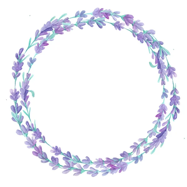 Akvarell Lavendel Ram Handmålade Provensalska Örter Isolerade Vit Bakgrund Blommig — Stockfoto