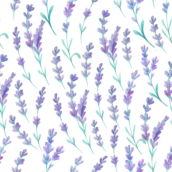 Seamless Pattern Watercolor Lavender Flowers Hand Painted Provence Herbs Background — Stock Photo, Image