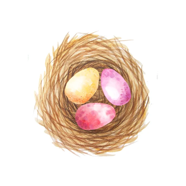 Set of colorful watercolor easter egg in the nest — 스톡 사진