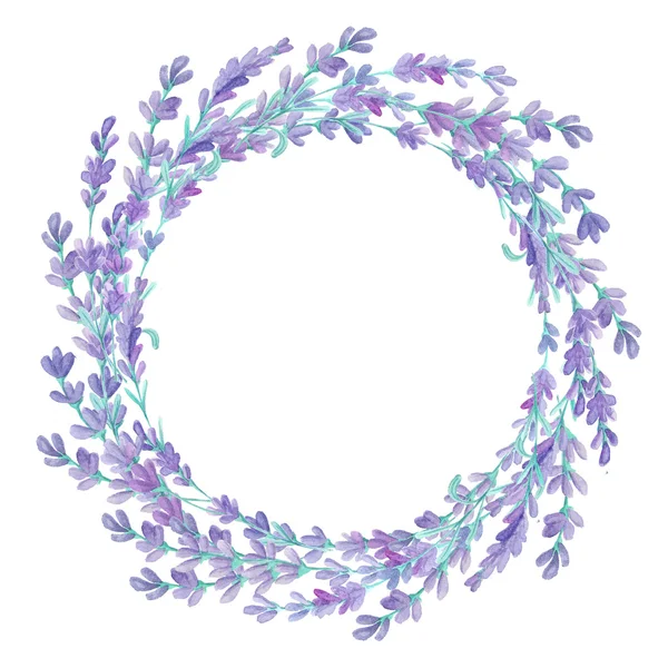 Akvarell Lavendel Ram Handmålade Provensalska Örter Isolerade Vit Bakgrund Blommig — Stockfoto