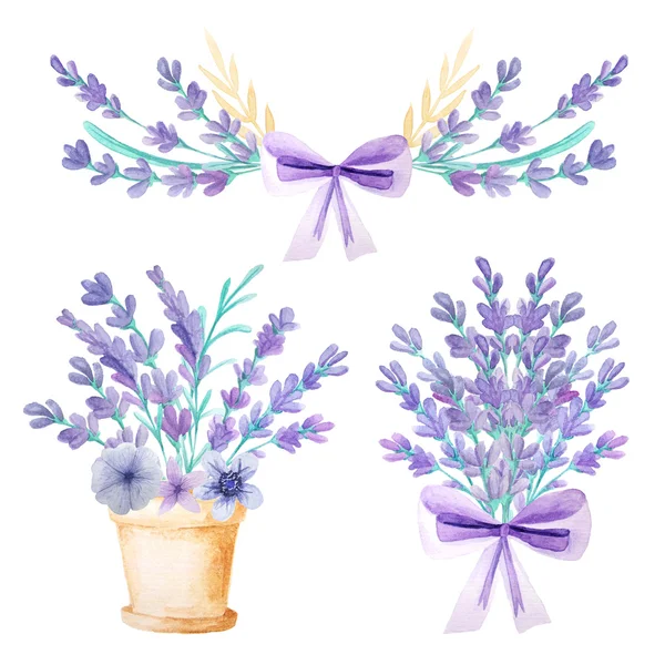 Hand Painted Watercolor Bouquets Lavender Flowers Provence Floral Compositions Perfect — Stock Photo, Image