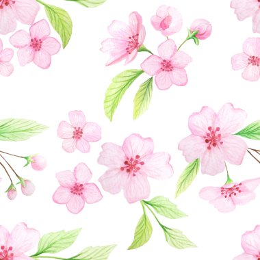 Suluboya kiraz çiçekleri ile Dikişsiz desen