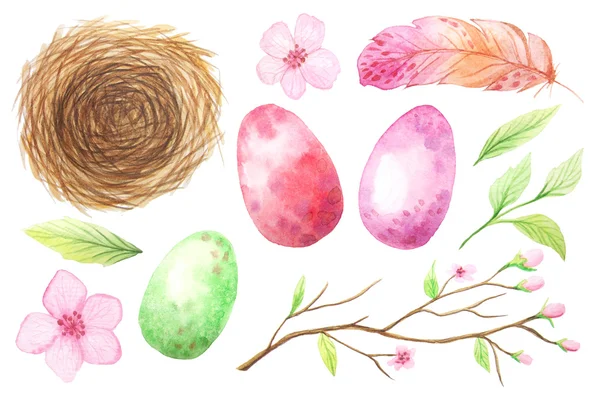 Set of colorful watercolor egg and feathers — 스톡 사진