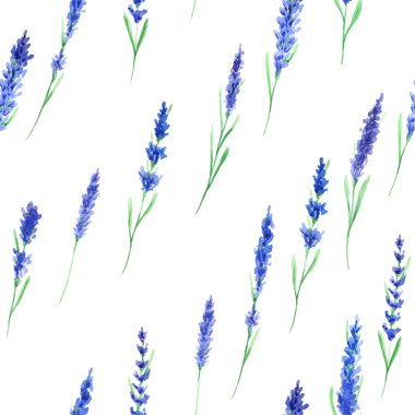 Suluboya lavanta çiçekleri ile Seamless modeli. El Provence otlar arka plan Tekstil ve scrapbooking için mükemmel boyalı
