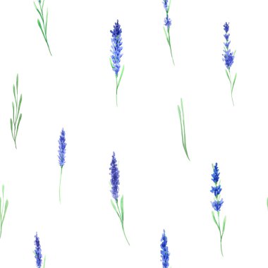 Suluboya lavanta çiçekleri ile Seamless modeli. El Provence otlar arka plan Tekstil ve scrapbooking için mükemmel boyalı