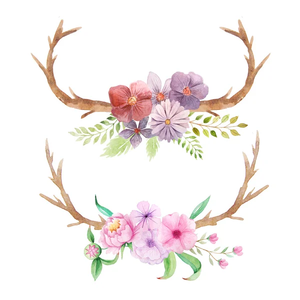 Set Hand Painted Watercolor Flowers Leaves Antlers Branches Rustic Style — Stock Photo, Image