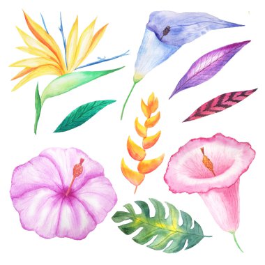 Suluboya el tropikal çiçekler, yaprakları ve bitkiler boyalı ayarlayın. Yaz düğün daveti ve parti kartı yapma için mükemmel parlak orman egzotik küçük resim