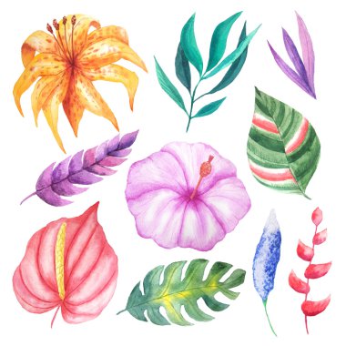 Suluboya el tropikal çiçekler, yaprakları ve bitkiler boyalı ayarlayın. Yaz düğün daveti ve parti kartı yapma için mükemmel parlak orman egzotik küçük resim