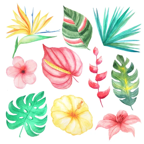 Set of Watercolor hand painted tropical flowers, leaves and plants. Bright jungle exotic clip art perfect for summer wedding invitation and party card making