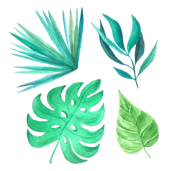 Ακουαρέλα Ζωγραφισμένα Στο Χέρι Τροπικά Φύλλα Και Φυτά Πράσινη Ζούγκλα — Φωτογραφία Αρχείου