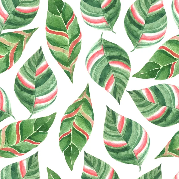 Bezešvé Vzory Akvarel Zelenými Tropickými Listy Ručně Natřené Zelené Pozadí — Stock fotografie