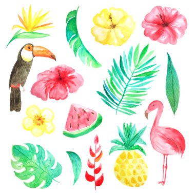Suluboya el tropik çiçekler, yapraklar, meyve ve kuşlar boyalı ayarlayın. Parlak orman egzotik küçük resim yaz düğün davetiyesi ve parti kartı yapımı için mükemmel