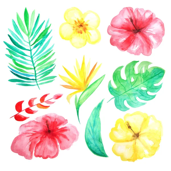 Σετ Από Υδατογραφικά Ζωγραφισμένα Χειροποίητα Τροπικά Λουλούδια Φύλλα Και Φυτά — Φωτογραφία Αρχείου