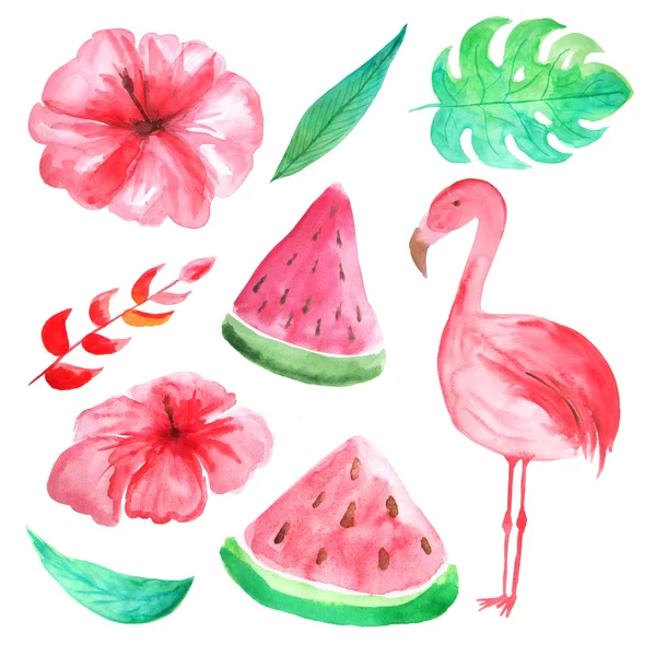 Sett Med Vannfarget Hånd Malte Tropiske Blomster Blader Frukt Flamingoer – stockfoto