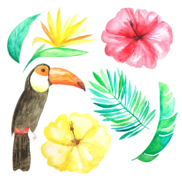 Állítsa Watercolor Kézzel Festett Trópusi Virágok Levelek Toucan Bright Jungle — Stock Fotó