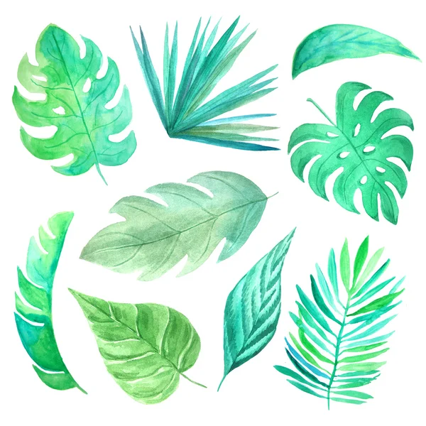 Watercolor hand painted tropical leaves and plants. Green jungle foliage clip art perfect for summer wedding invitation and party card making