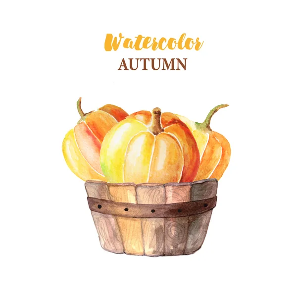 Aquarell Handbemalte Orangefarbene Kürbisse Holzkorb Herbst Natur Komposition Isoliert Auf — Stockfoto