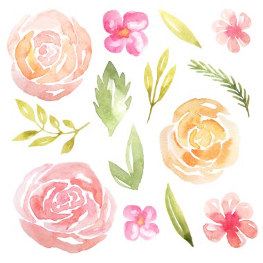 El boyalı suluboya narin ve romantik çiçekler, yaprakları ve dalları yaz bahçe bitkiler esinlenerek ayarlayın. Düğün kartı yapma ve DIY projesi için pembe çiçek küçük resim pefect. 