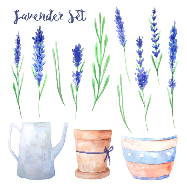 Acuarela Set floral lavanda — Foto de Stock