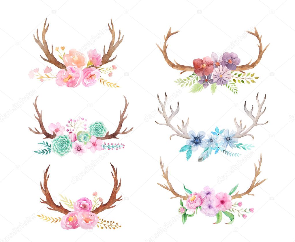 Set of hand painted watercolor flowers, leaves, antlers and berry in rustic style. Boho rustic composition perfect for floral design projects