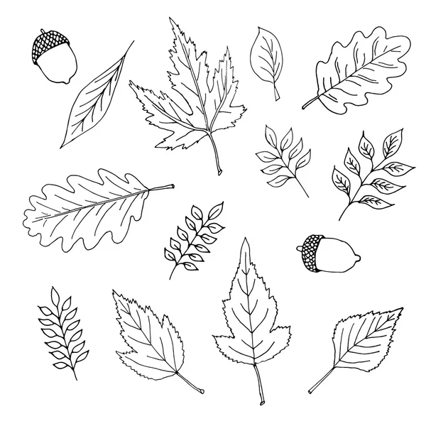 Handgezeichnete Blätter Doodles Set — Stockvektor