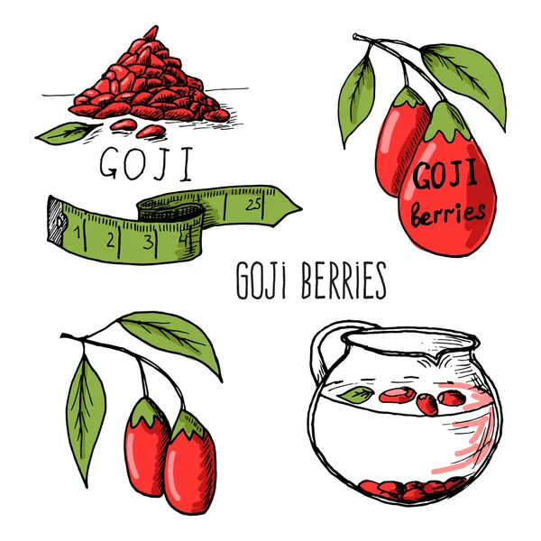 Goji-Beeren-Skizze — Stockvektor