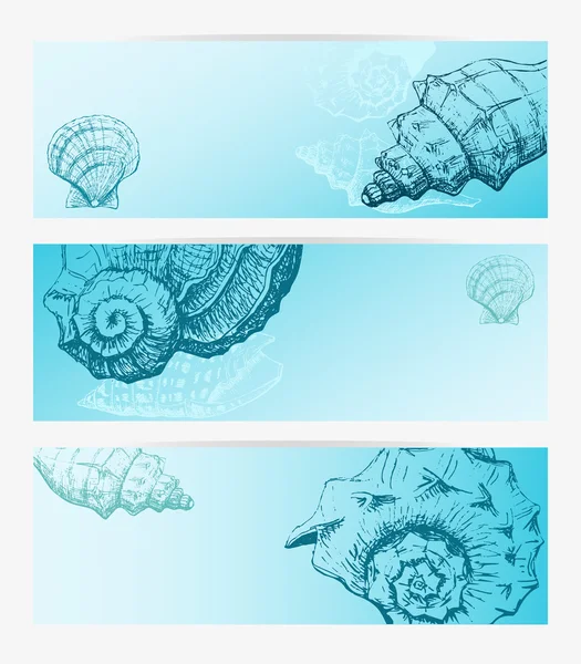 Conjunto de pancartas con conchas marinas — Archivo Imágenes Vectoriales