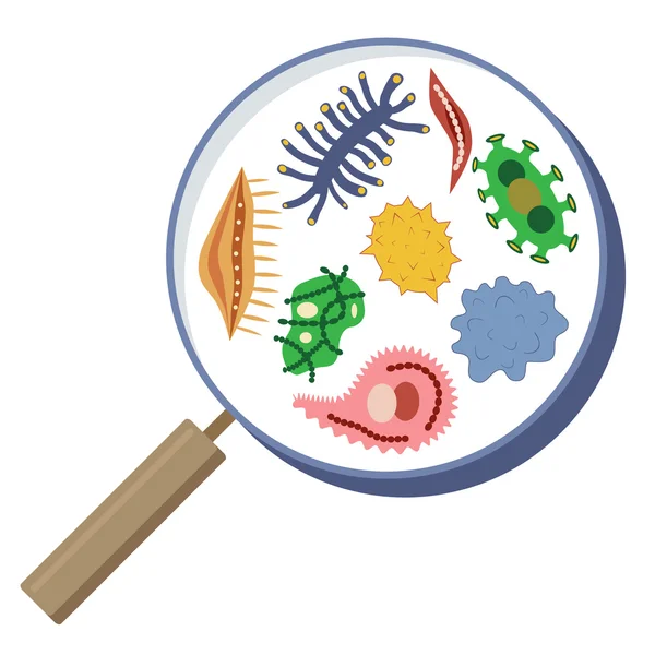 Karikatur verschiedener Mikroben — Stockfoto