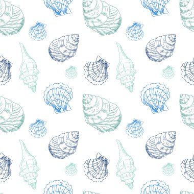 Kuvvetler deniz kabuklarını ile